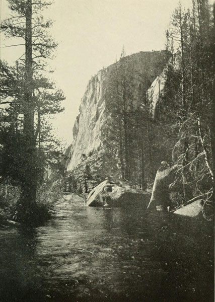 VIEW IN TUOLUMNE CAÑON