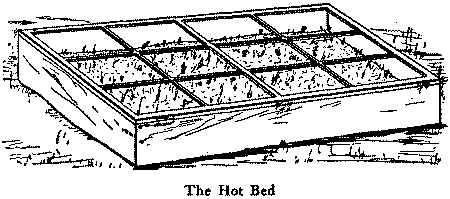 The Hot Bed