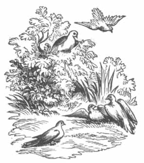 Illustration.