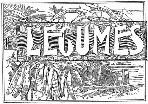 LEGUMES