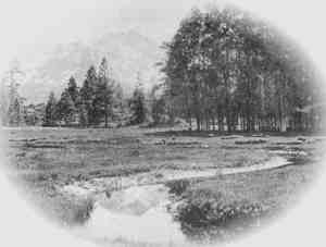 'Tahoe Meadows, With Mt. Tallac in the Distance