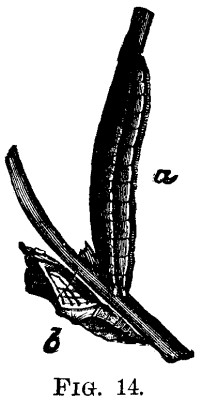 FIG. 14.