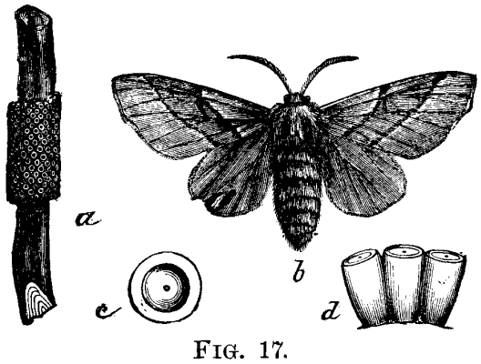 FIG. 17.