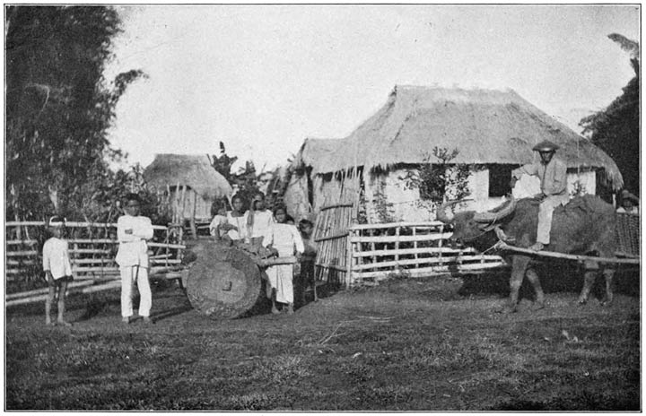 A Family Group and Home in the Settled Interior