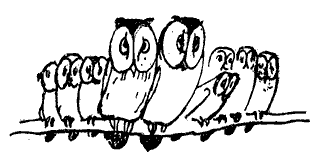 owls