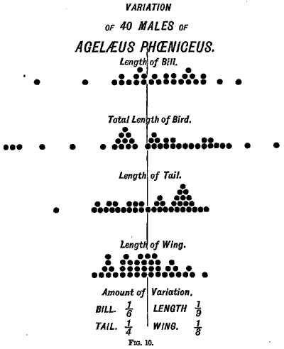 FIG. 10.