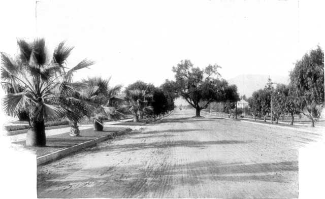 ORANGE GROVE AVENUE, PASADENA.