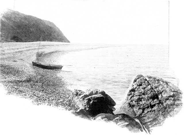 ON THE BEACH AT SANTA CATALINA.