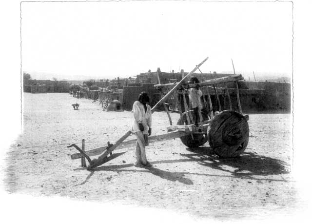 MOQUI CART AND PLOW.