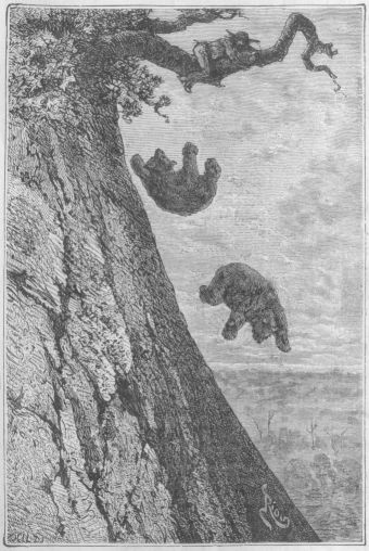 Nuo kaksi karhua katosivat hänen allensa vuoren seinän jyrkännettä myöten.