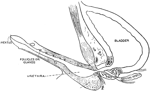 [DIAGRAM 3]