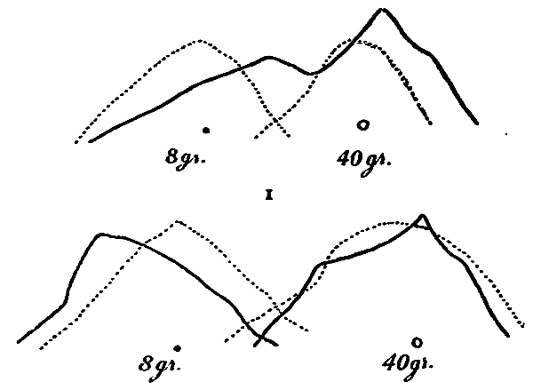 FIG. 2. Back of Hand