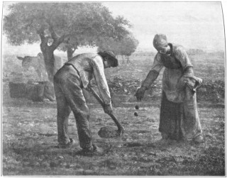 Plate 5.—Millet. "The Potato Planters." In the Quincy A. Shaw Collection.