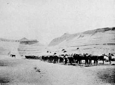 Squadron Camp in the Jordan Valley. "No. 2" Section.