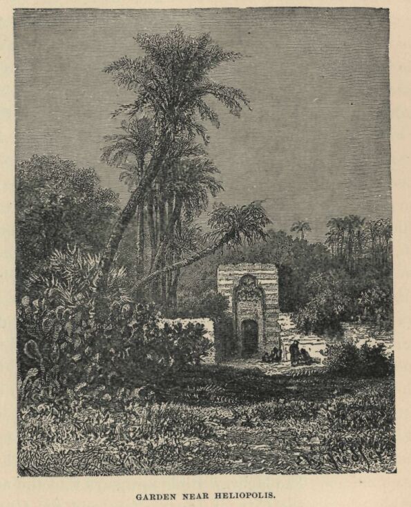 223.jpg Garden Near Heliopolis 