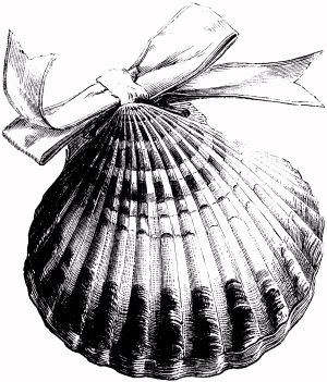 A SCALLOP-SHELL ALBUM.