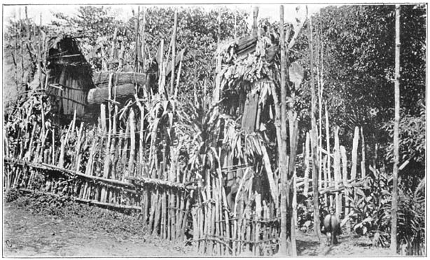 Group of Platform Graves of Chiefs and their Relations.