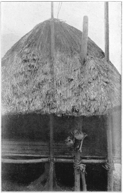 An Emone to which are hung the Skulls and some of the Bones from Chiefs’ Burial Platforms which have Collapsed.