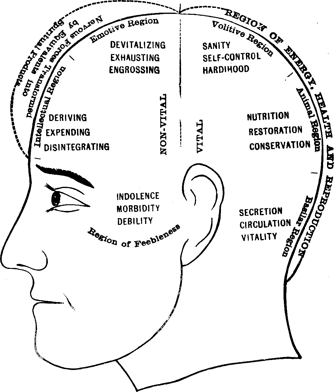 Illustration: Fig. 79