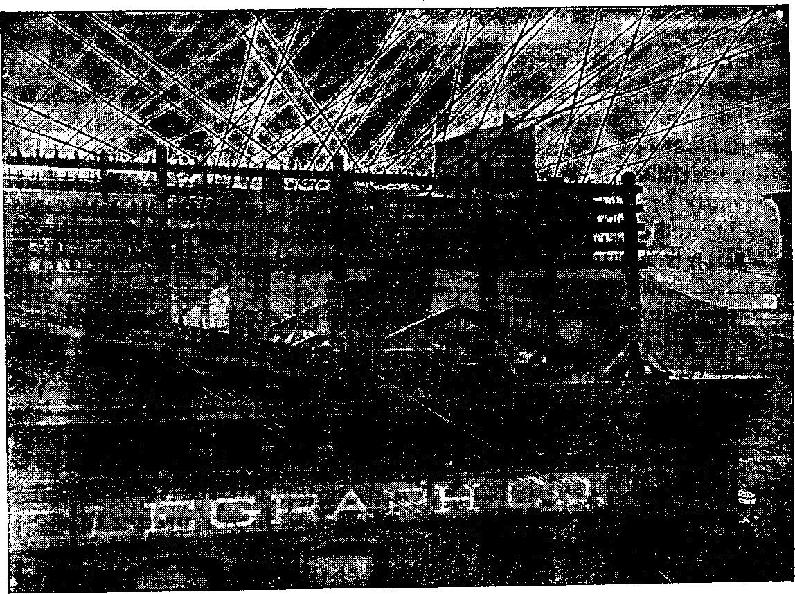 Illustration: View on roof of Western Union Telegraph Company's Central Station, Buffalo, N.Y., showing net-work of wires leading to all parts of the country.