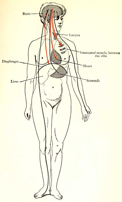 Fig. 15