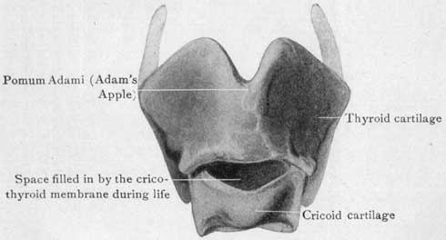 Fig. 21