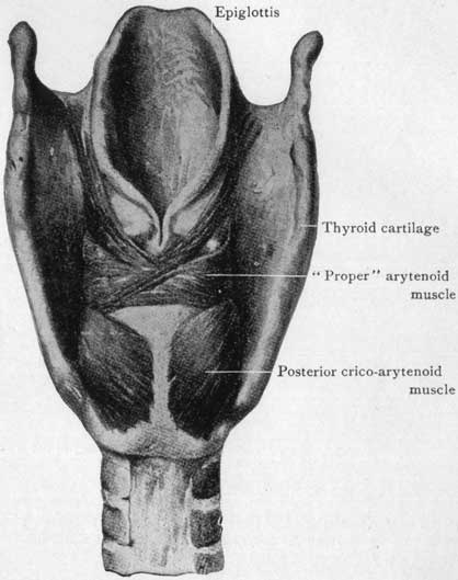 Fig. 25