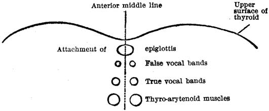 Fig. 29