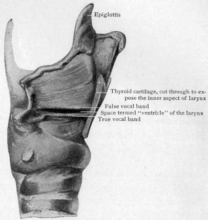 Fig. 33