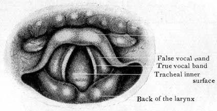 Fig. 43