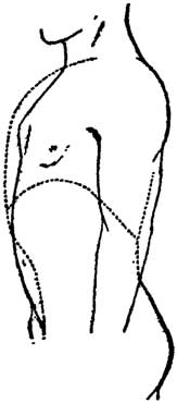 Fig. 44