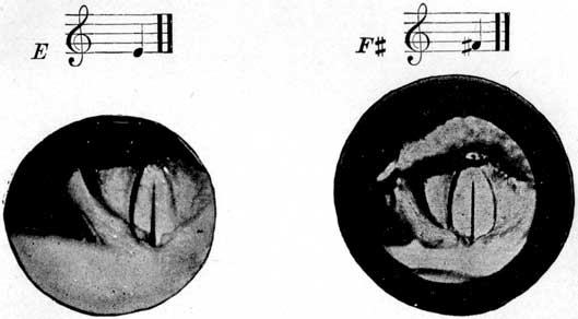 Fig. 51