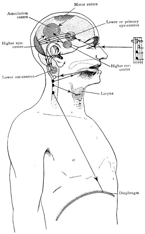 Fig. 53