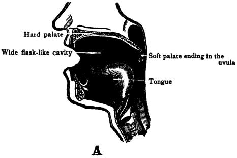 Fig. 56