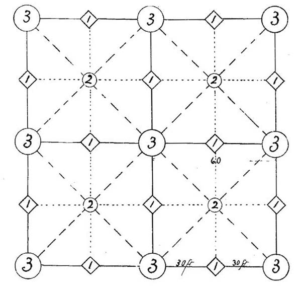 Plan for a walnut orchard