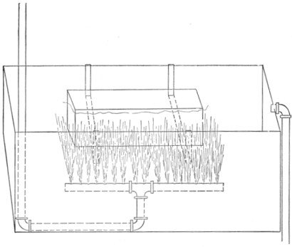 Fig. 80