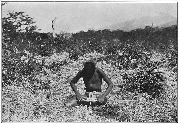 Negrito man of Bataan making fire with bamboo.