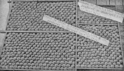 Fig. 135.