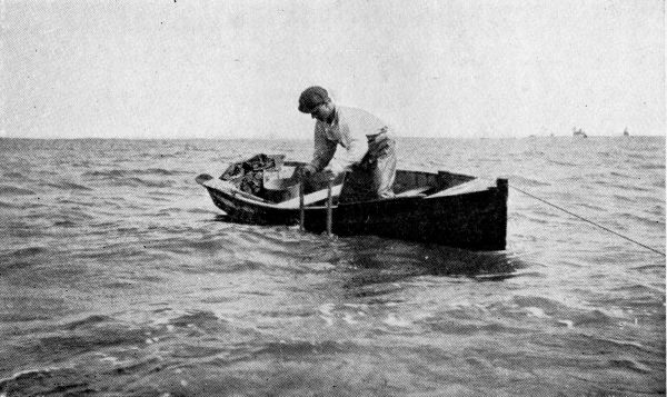 Oysterman Tonging for Oysters in Buzzard's Bay.