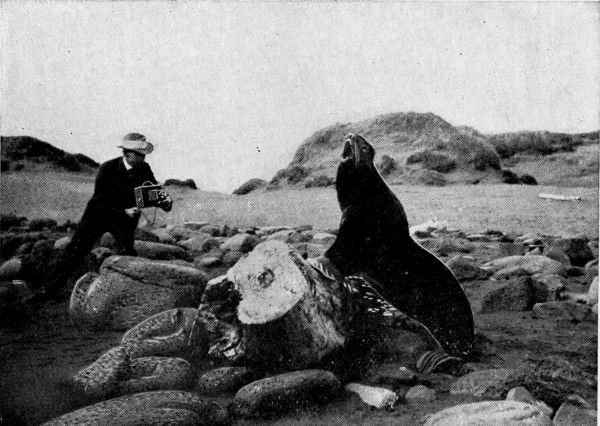 Snapshotting an old Beach-Master.