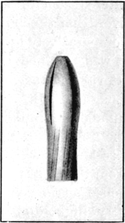 Fig. 40.