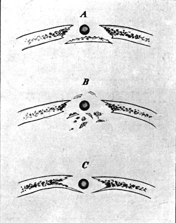 Fig. 67.