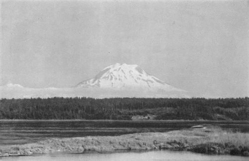 View of the Mountain from Fox Island.