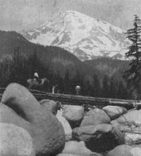 Pony bridge over the Nisqually.