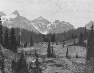 Portion of Paradise Park and the Tatoosh Range.