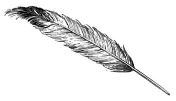 feather