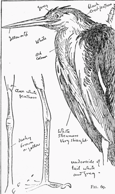 Fig. 69.