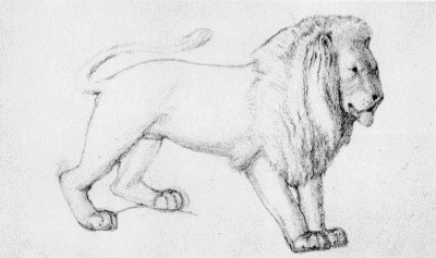 VII.—Preliminary Drawing of a Lion for Carving. By Phillip Webb.