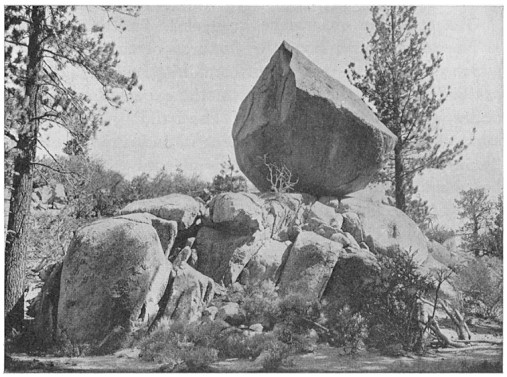 Fig. 19