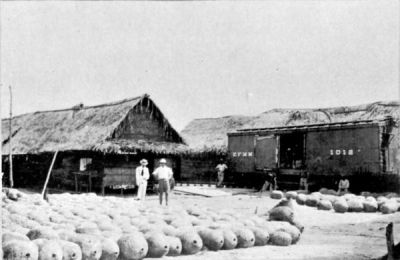 Bolivian Rubber at Abuna Station on the Madeira-Mamore Railway.